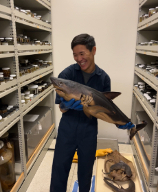 Clay, an asian man with short black hair, stands among rows of jars in a resaerch collection. He is holding a preserved shark and smiling at it.